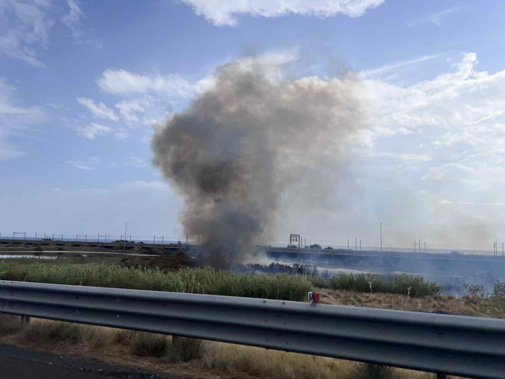 incendio oasi saline ioniche