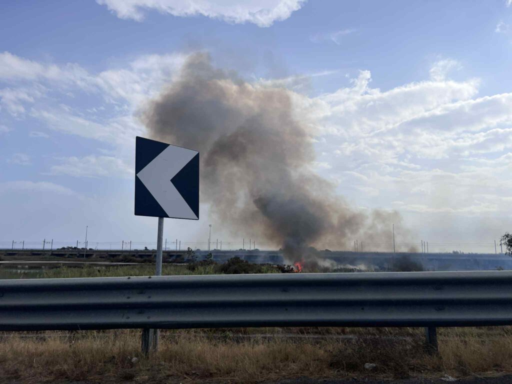 incendio oasi saline ioniche