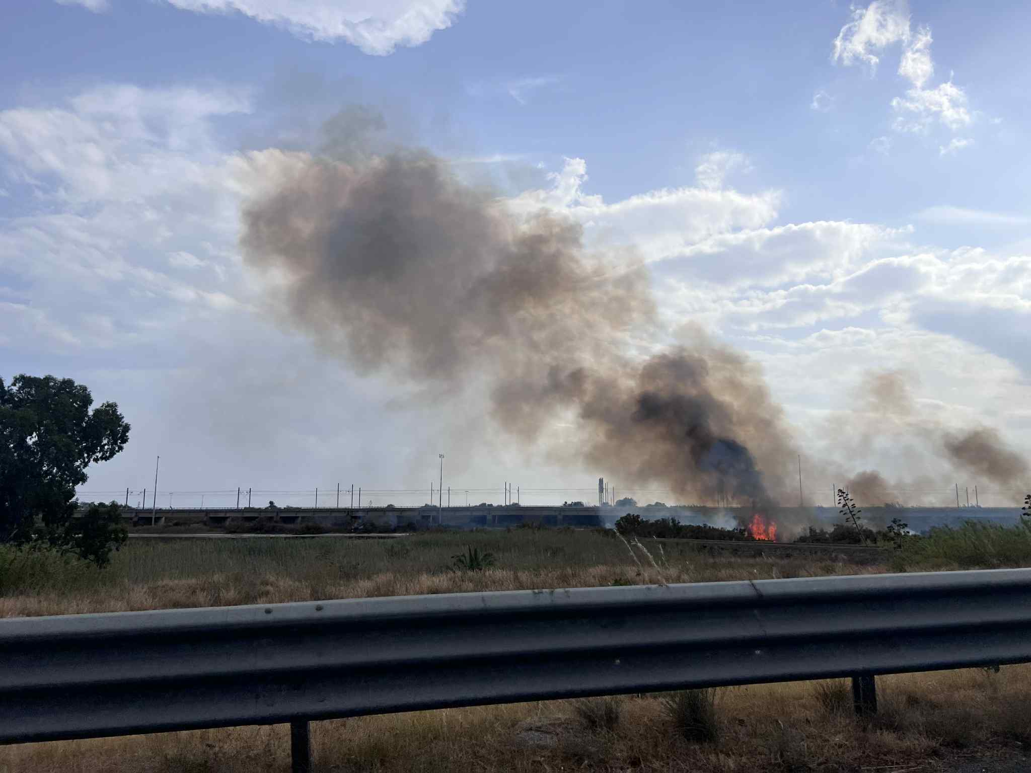 Enorme incendio brucia i laghetti dell’Oasi naturale di Saline Joniche | FOTO e VIDEO