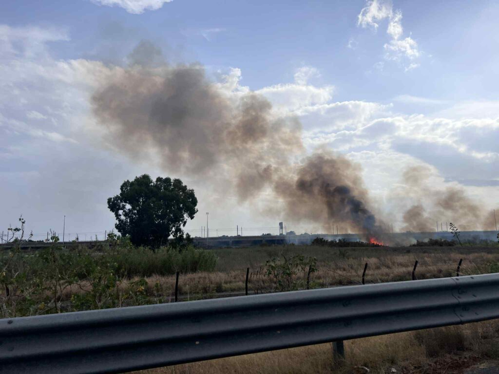 incendio oasi saline ioniche