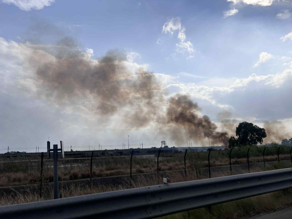 incendio oasi saline ioniche