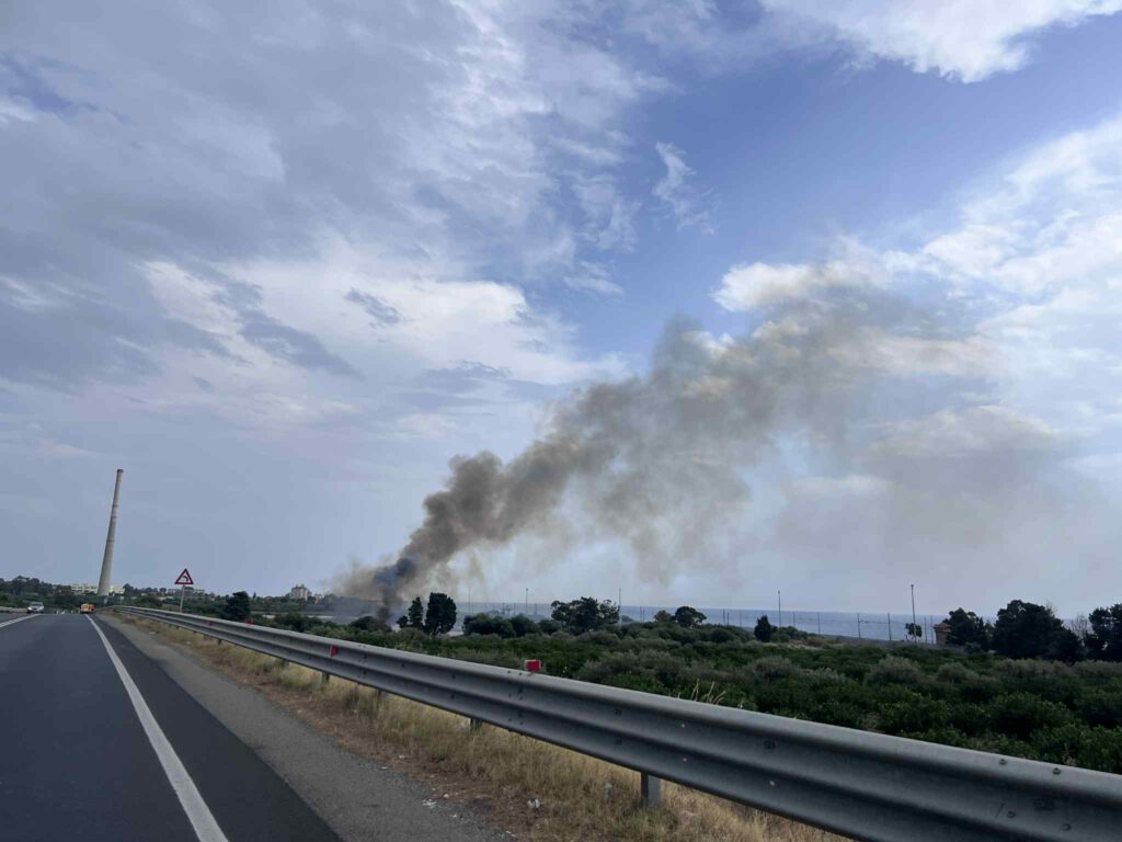 incendio oasi saline ioniche
