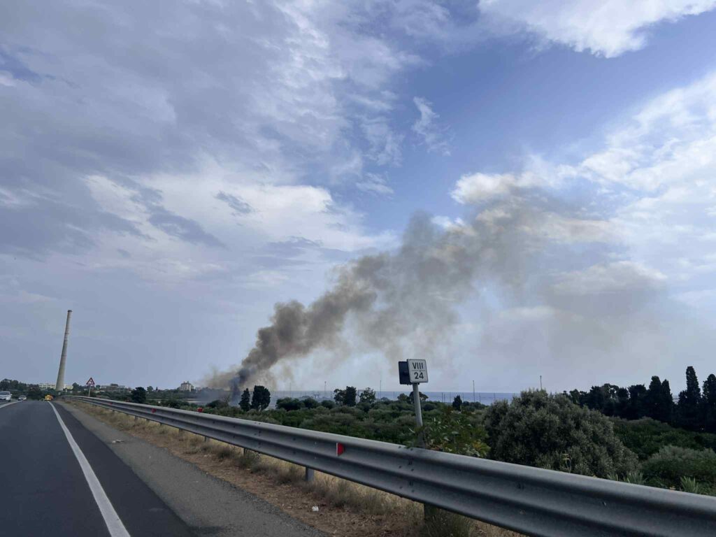 incendio oasi saline ioniche