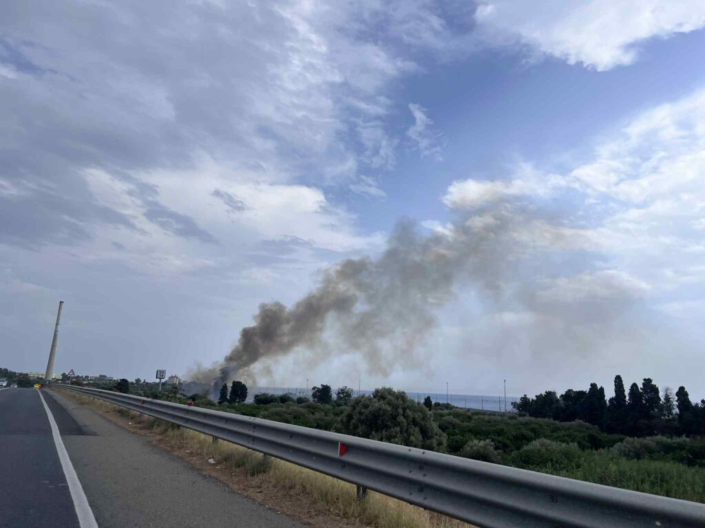 incendio oasi saline ioniche