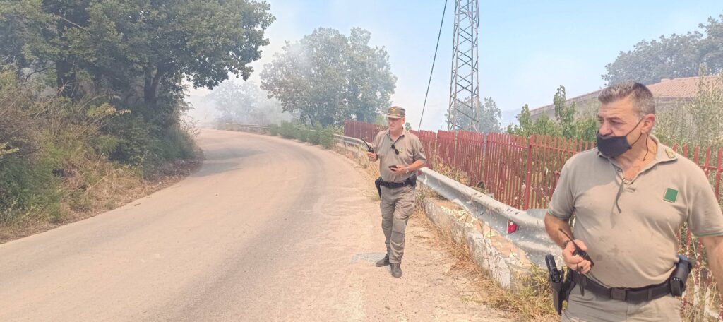 incendio piana degli albanesi sicilia