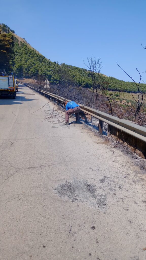 incendio piana degli albanesi sicilia