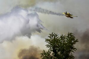 incendi portogallo