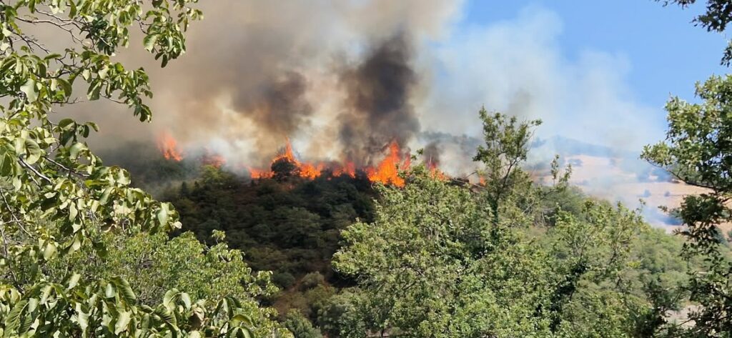 incendio seulo sardegna
