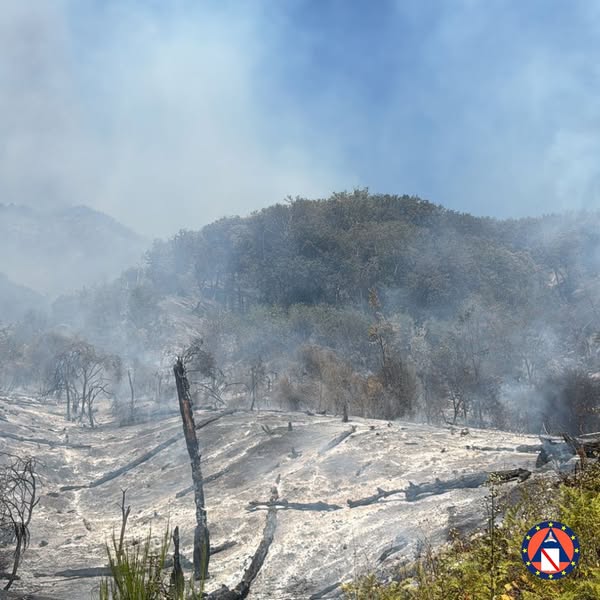 incendio vesuvio