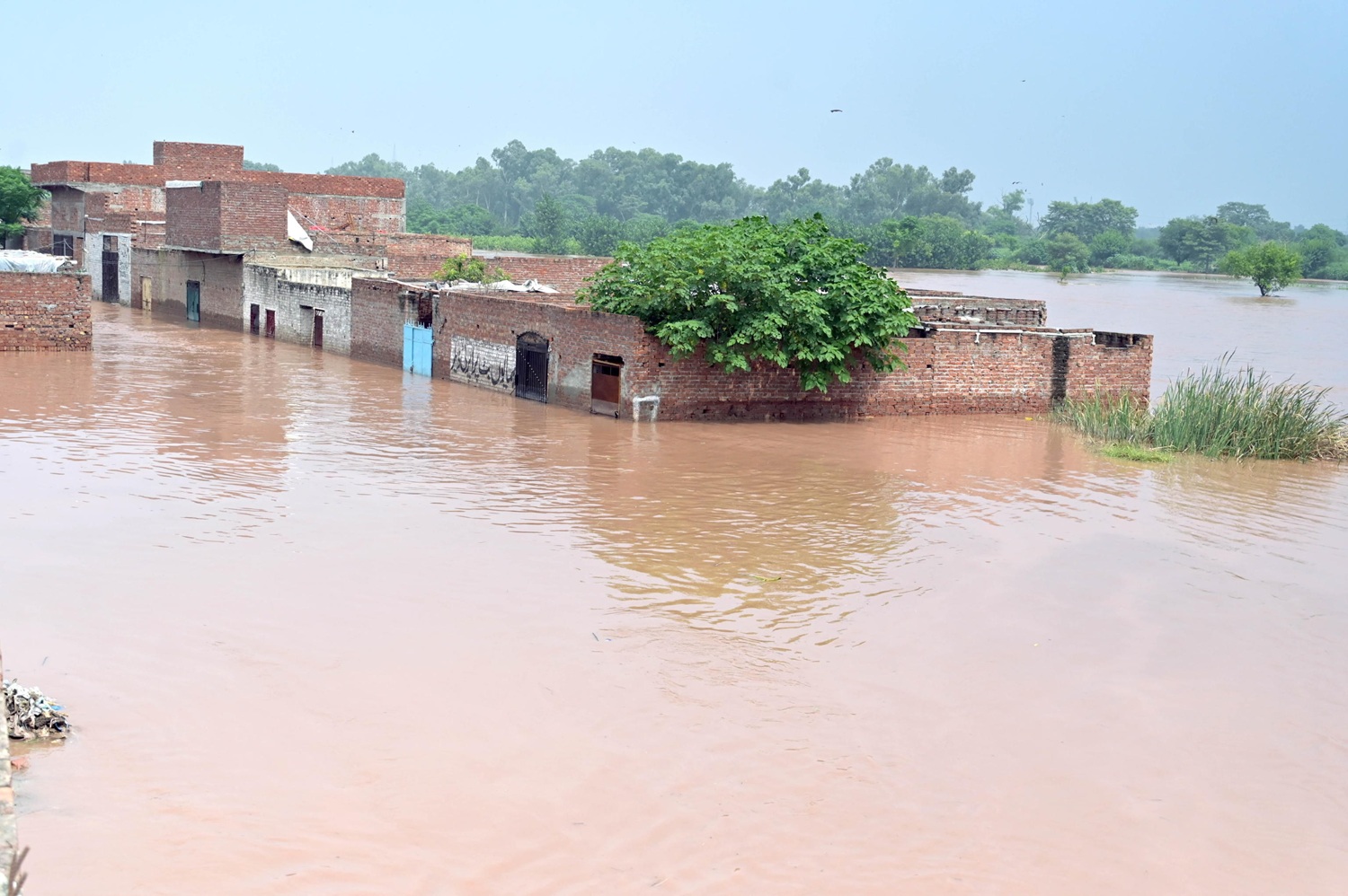 Monsoni in Pakistan: Lahore inondata dopo quasi 40 anni, altri 22 morti nel Punjab | VIDEO