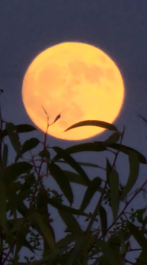 luna piena storione