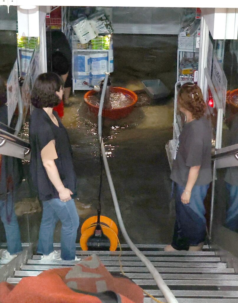 maltempo corea del sud