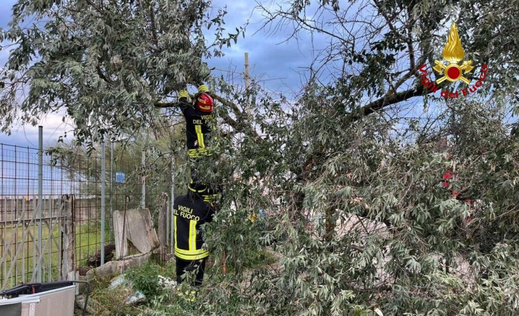 maltempo emilia romagna oggi