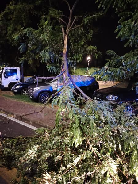 maltempo fano marche