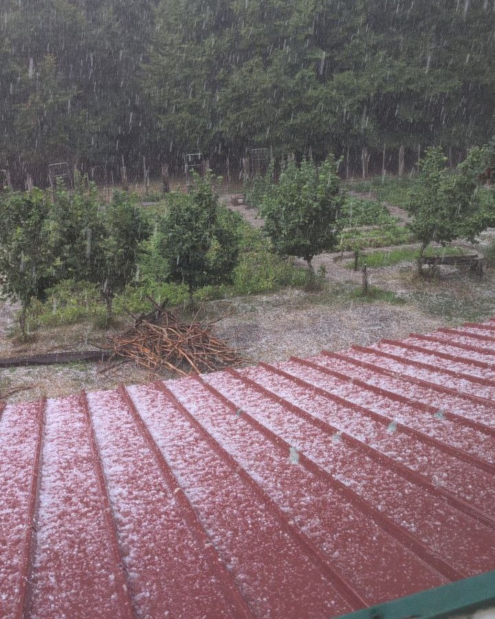 maltempo grandine sila piccola calabria