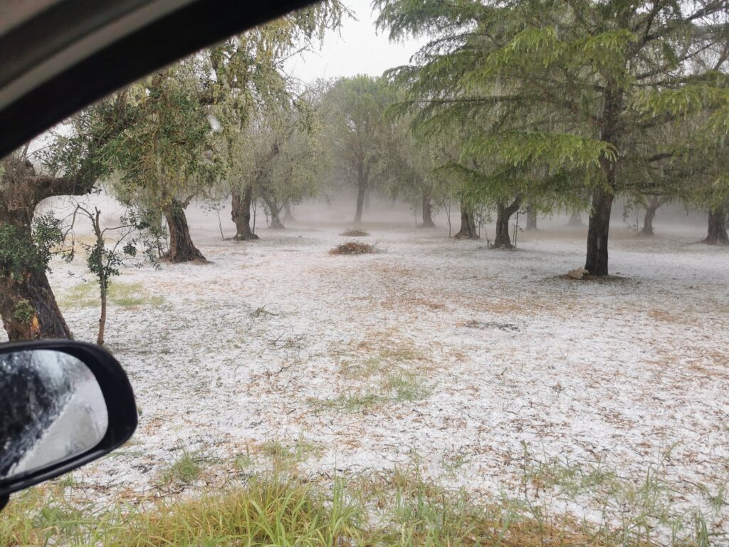 maltempo grandine vignacastrisi puglia