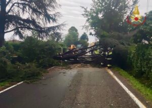 maltempo italia vigili del fuoco alberi