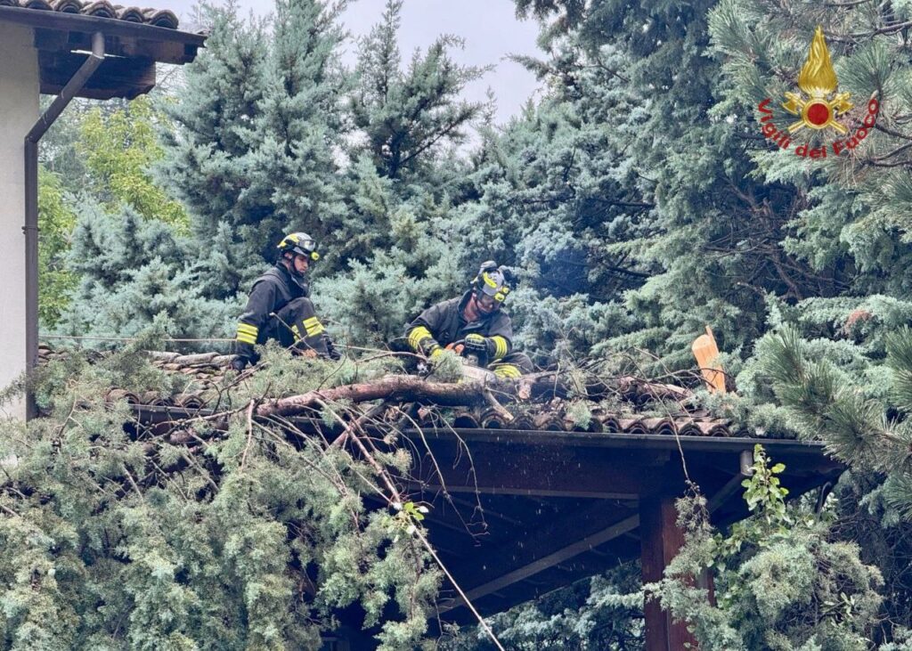 maltempo italia vigili del fuoco alberi