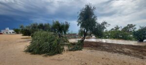 maltempo puglia foggia