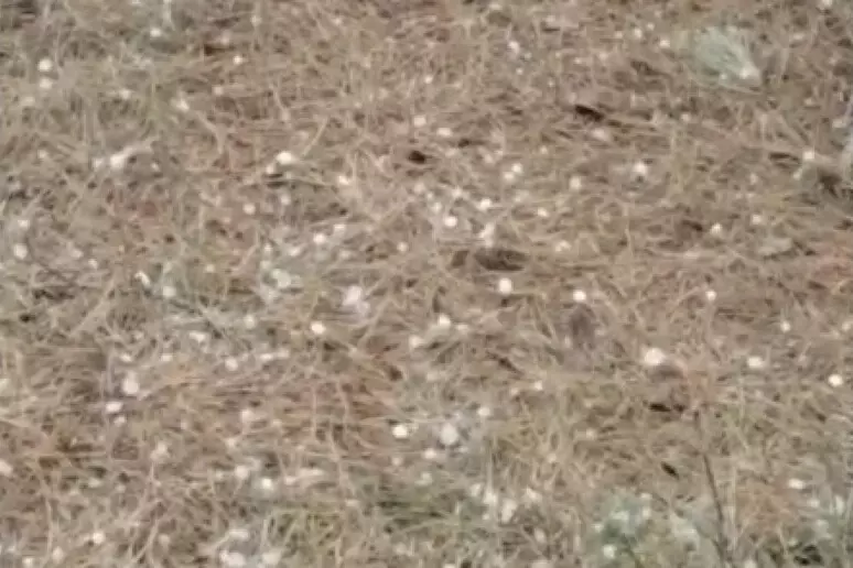 maltempo sardegna