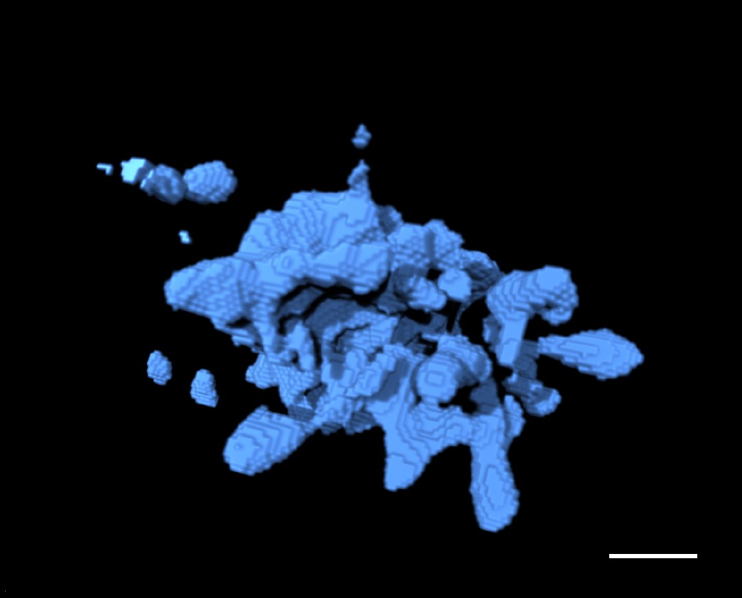 nanocristalli eruzioni vulcani