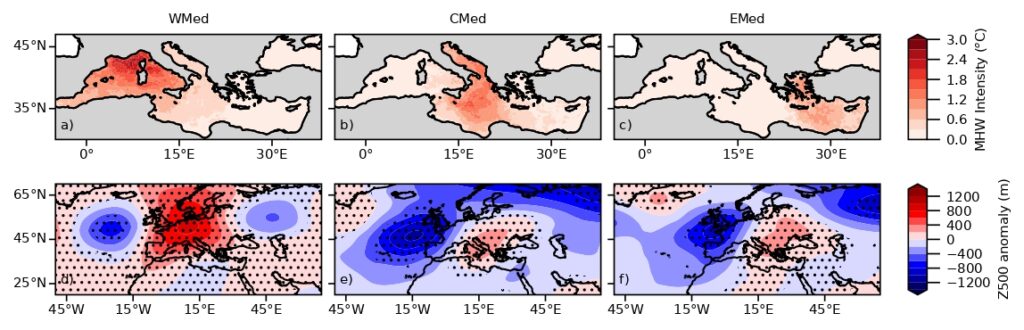 ondate di calore marine mediterraneo