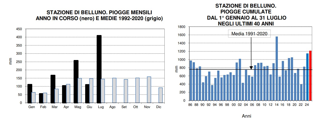 piogge belluno gennaio-luglio 2025