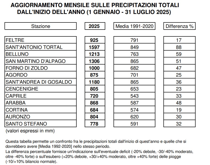 piogge belluno gennaio-luglio 2025