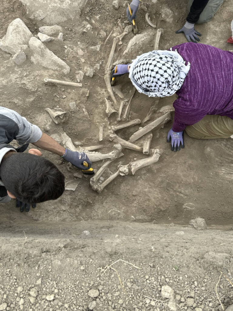 scoperta anatolia cerchio bambini perduti