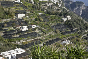 sistema agricolo terrazzato di Amalfi