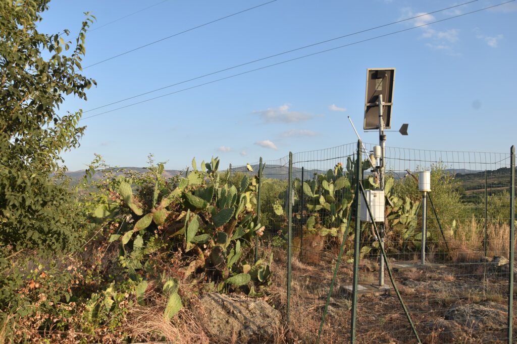 stazioni meteo sias caltagirone e francoforte