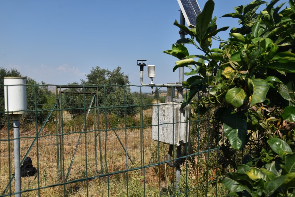 stazioni meteo sias caltagirone e francoforte