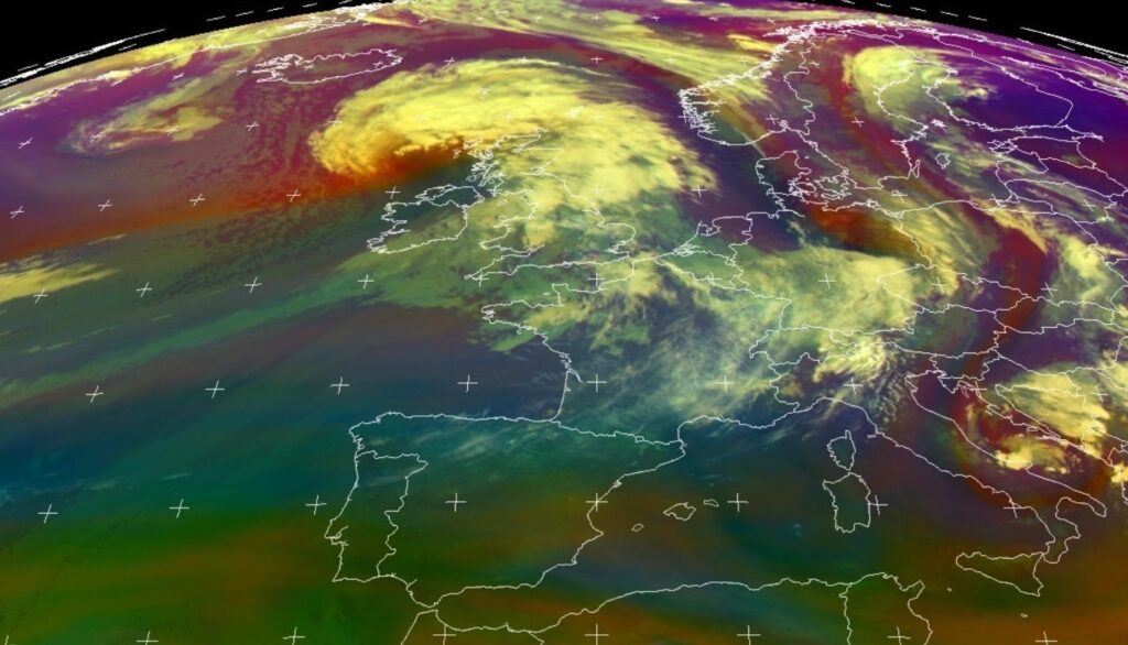 tempesta floris