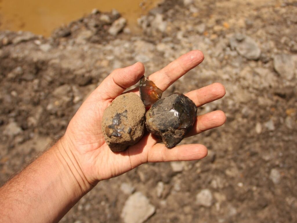 Ambre fossili