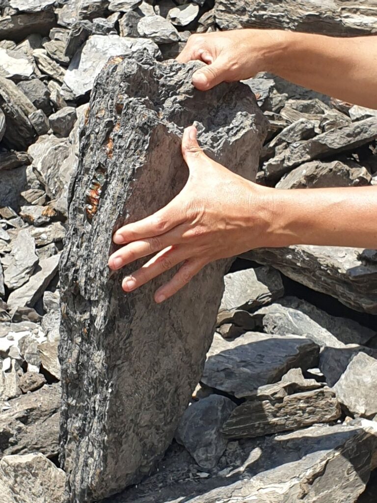 Ambre fossili