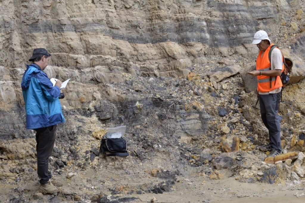 Ambre fossili