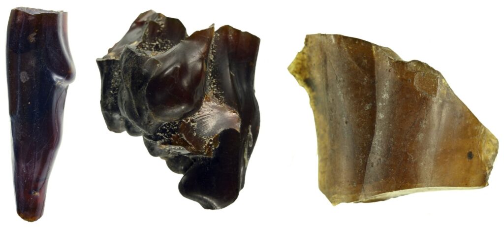 Ambre fossili