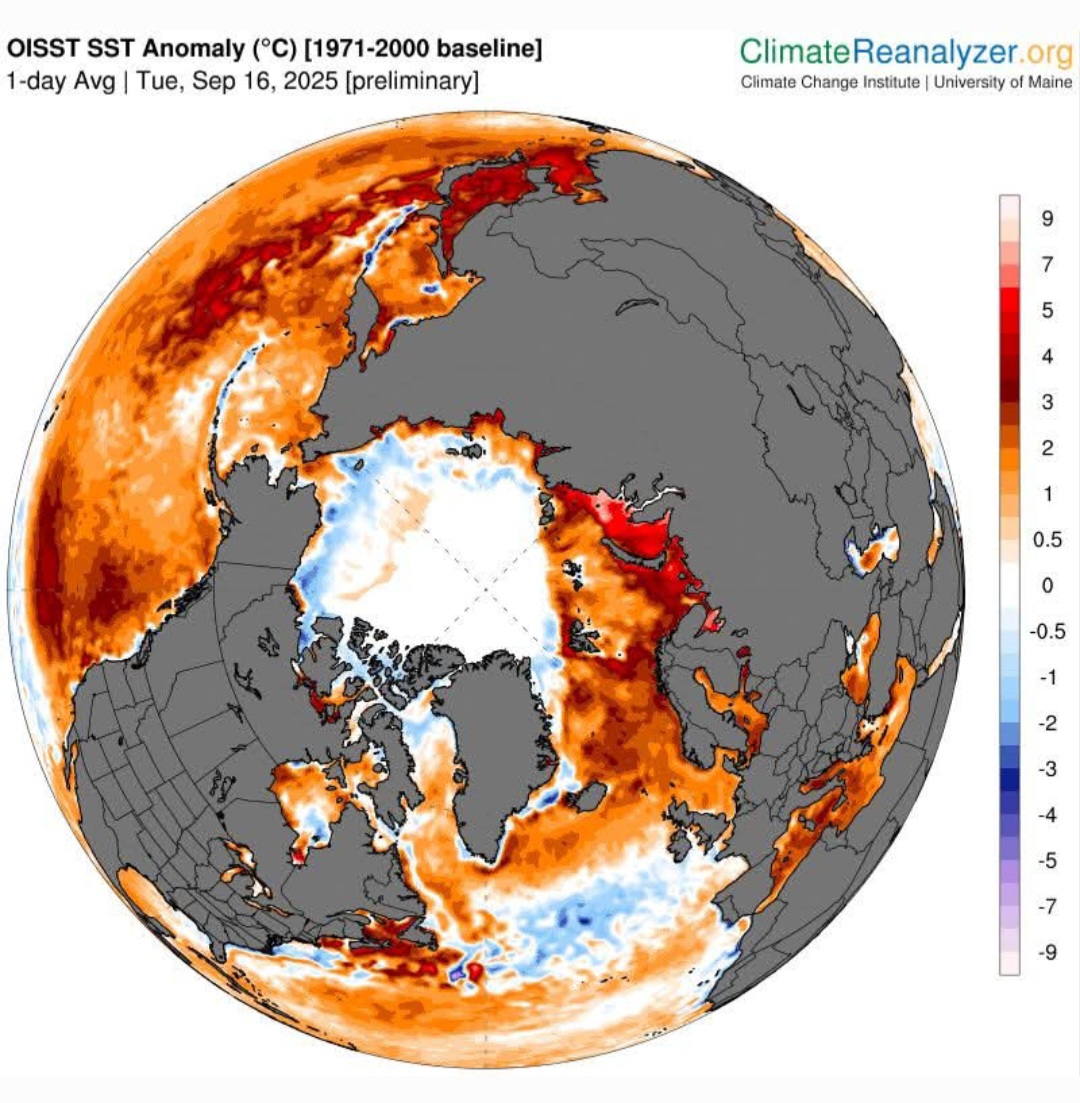 Anomalie SST oceani