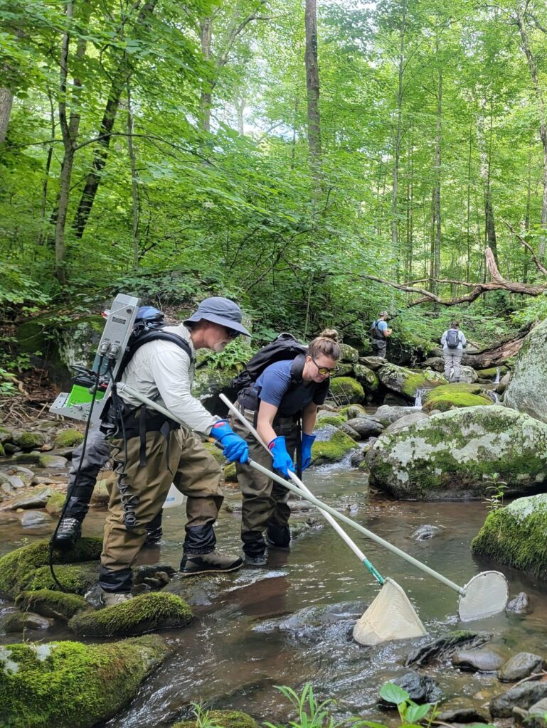 Biodiversità pesci