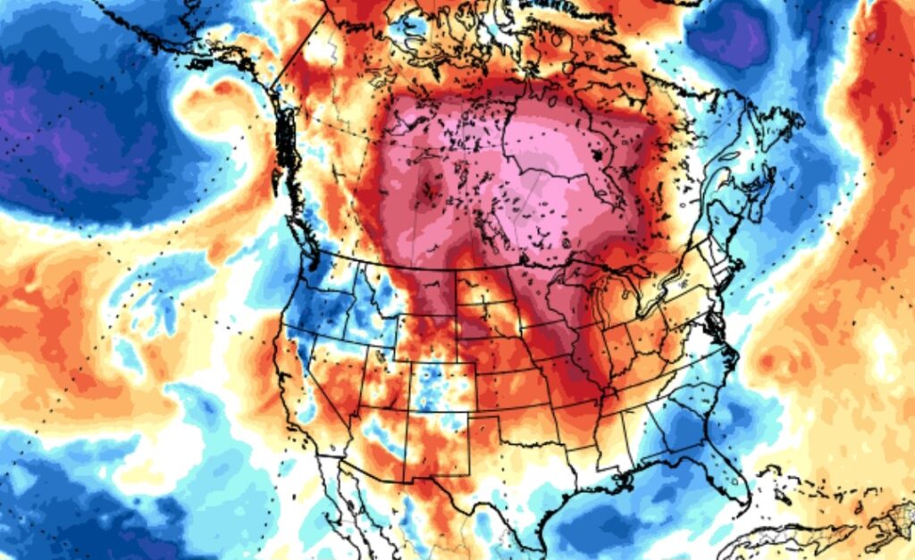 Caldo USA