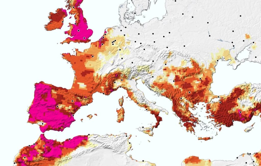 Caldo Europa