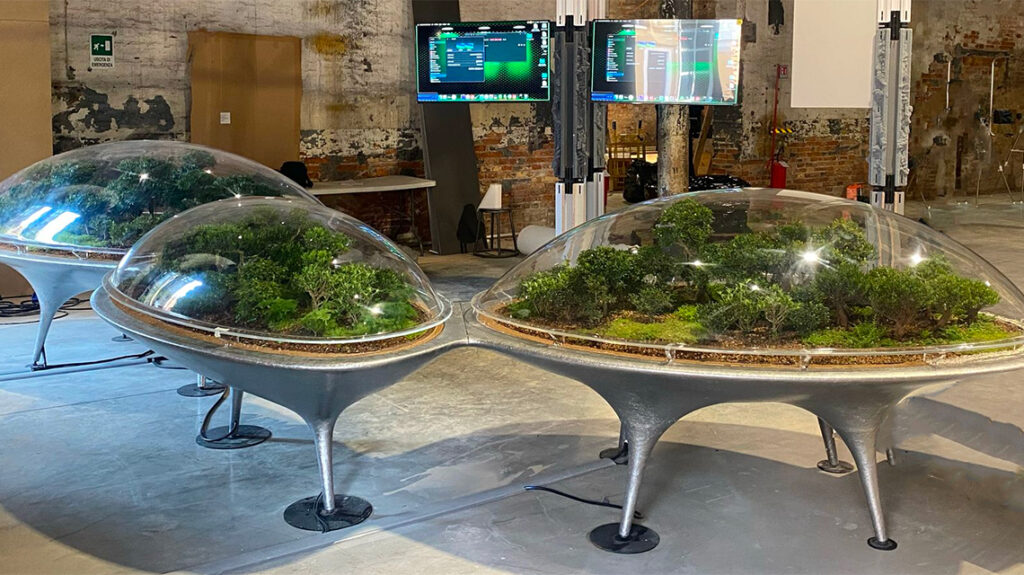 City of Plants