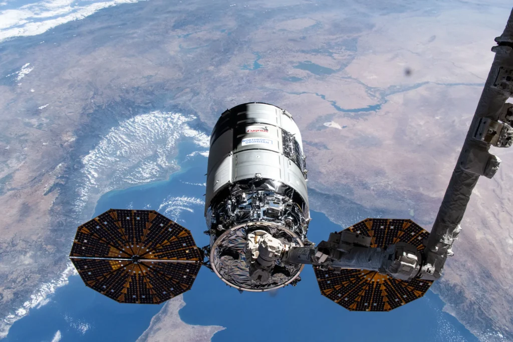 Cygnus