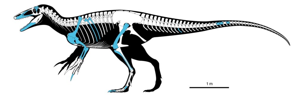 Dinosauri