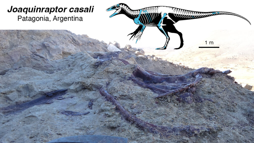 Dinosauri