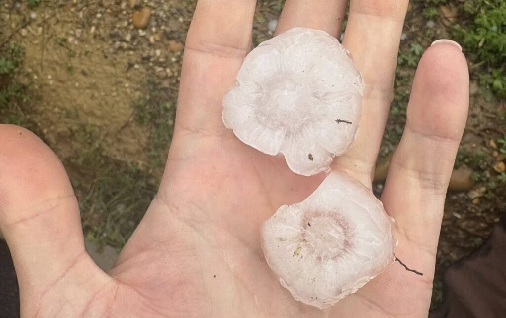 Grandine Francia