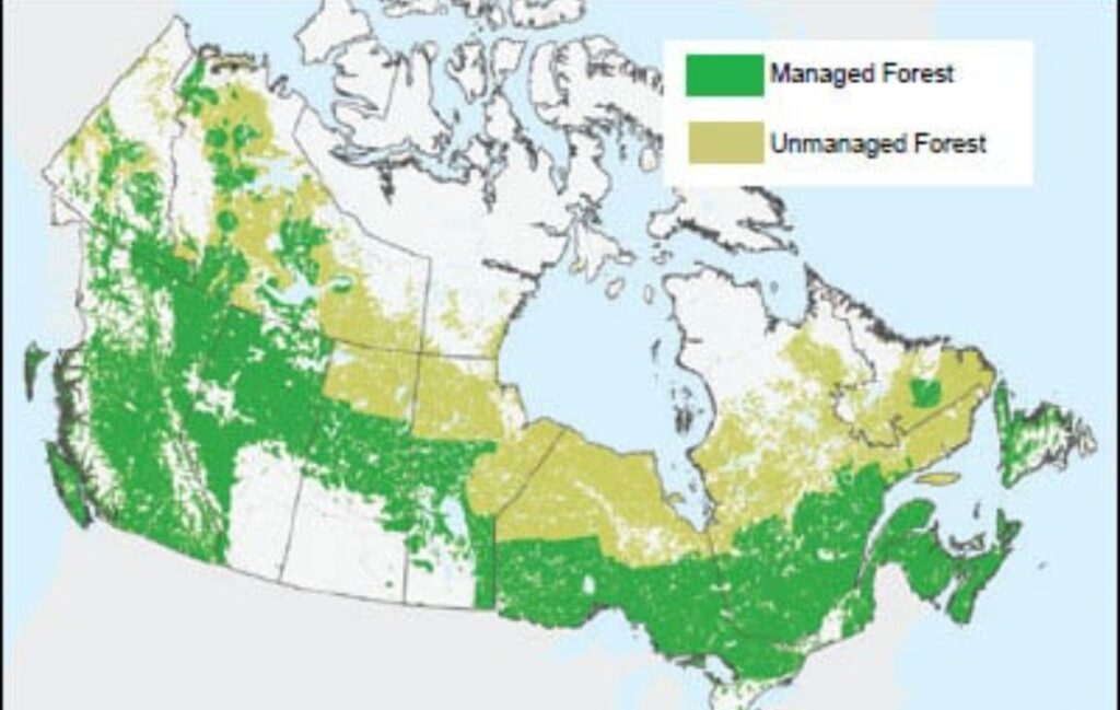 Incendi Canada 2025