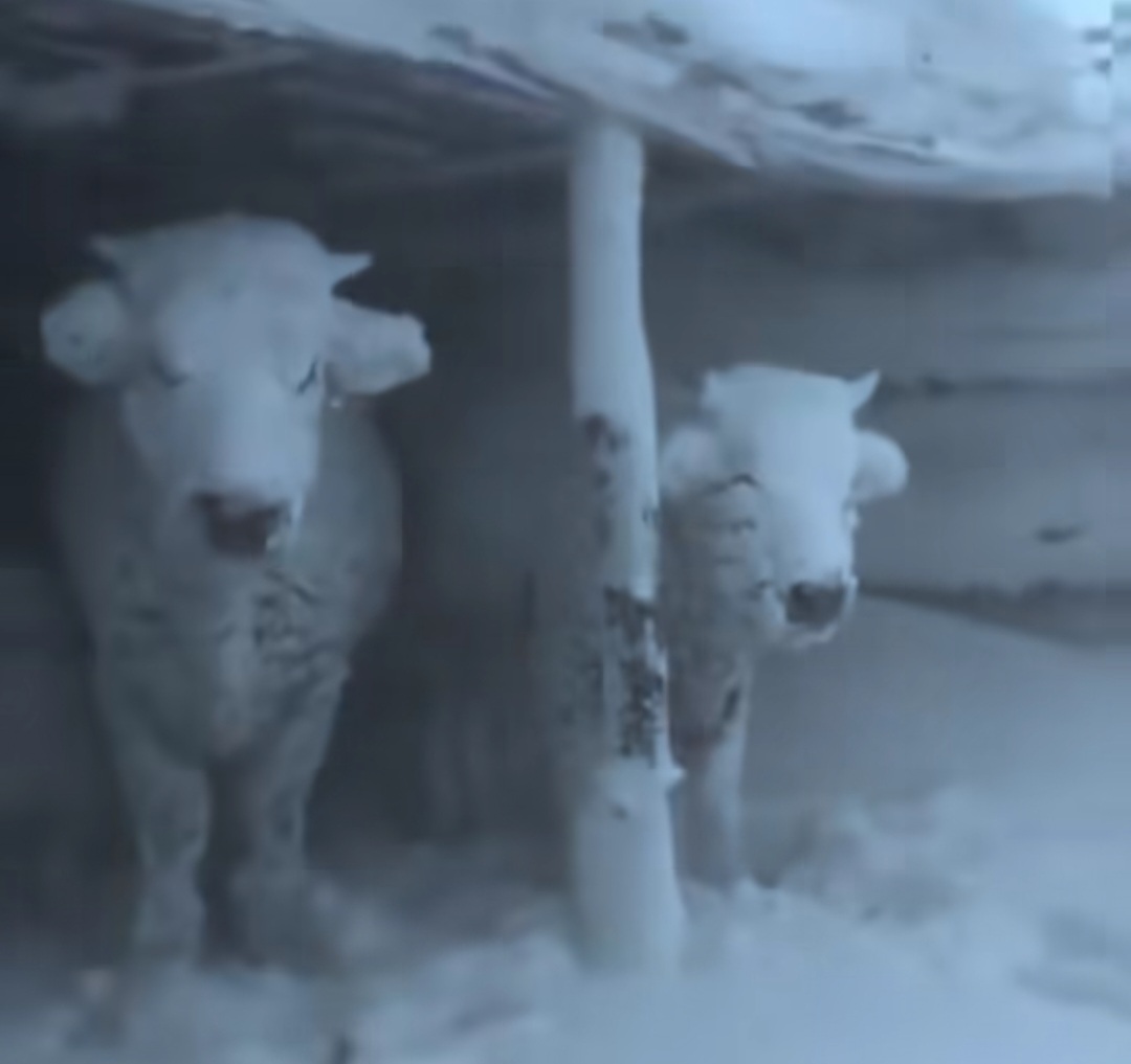 Meteo USA neve Colorado