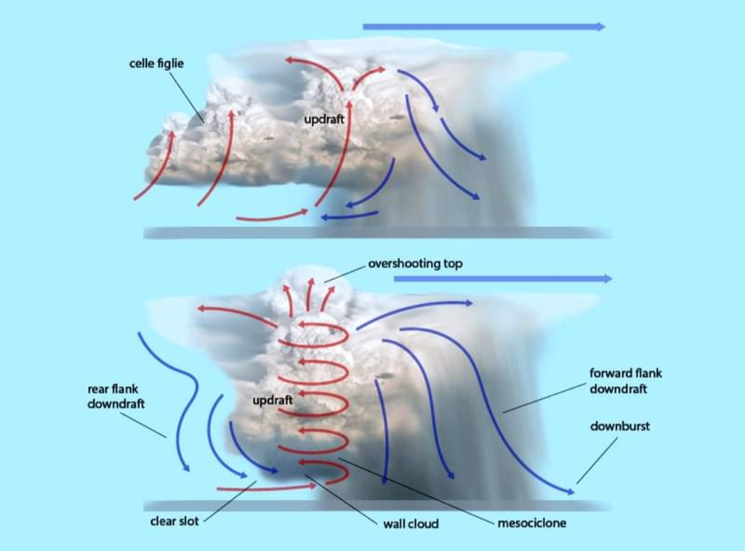Misociclone e mesociclone