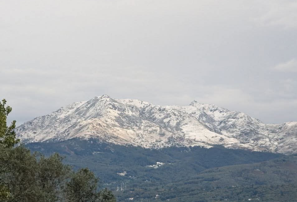 Mombarone